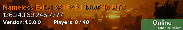 Nameless Exile | x3 | PvP | 13.05 16 UTC